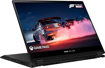 Amazon.com: Asus ASUS ROG Flow 13.4'' Touchscreen Gaming